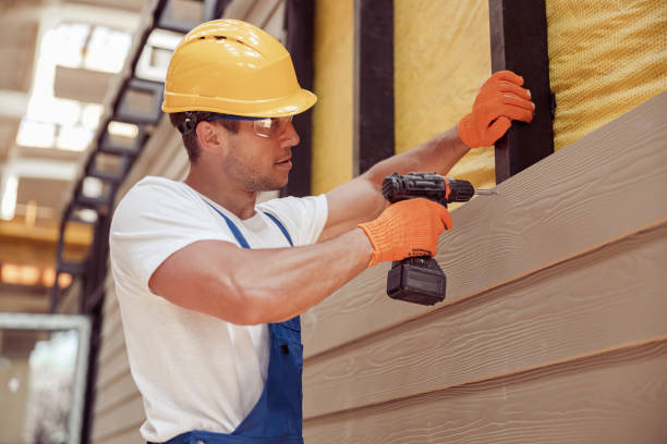 Best Fascia and Soffit Installation  in Dexter, MI