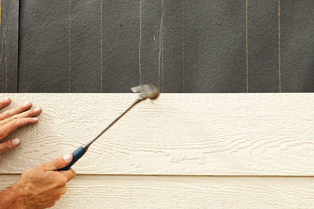 Best Aluminum Siding Installation  in Dexter, MI